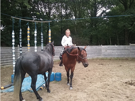 Travail du cheval monté Travail du cheval monté