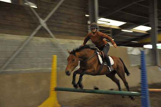 Dressage, CSO Dressage, CSO