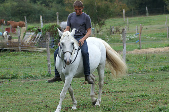 Licol ethologique avec Kocéane