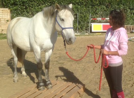 Le travail de l'arrêt. Stage à Saint Lormel