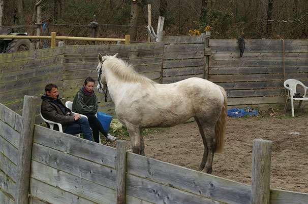 Cours debourrage. Québriac