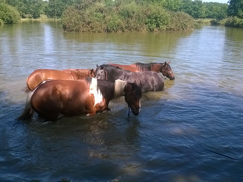 Eduquer, réeducation