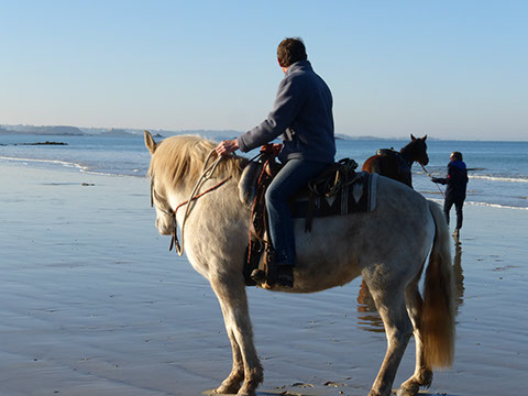 Cours sous surveillance