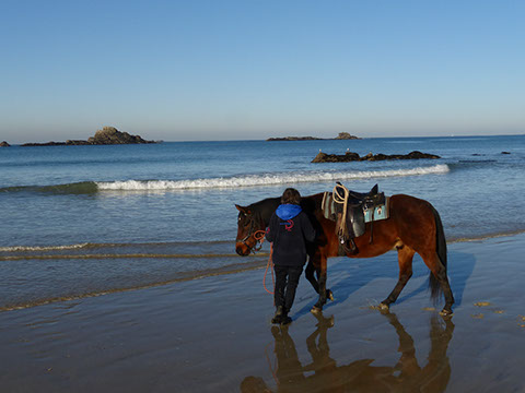 Travail de confiance