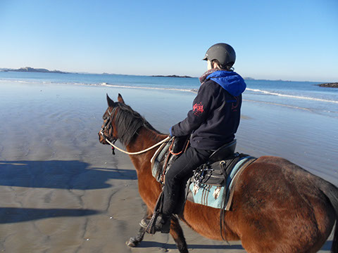 balade cheval sur plage 