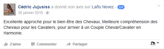 approche bien être cheval