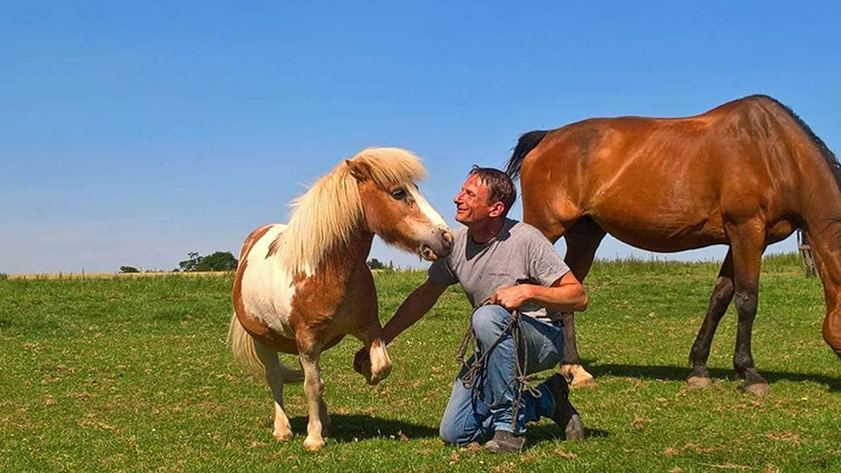 Cheval Vasco; encore poulain