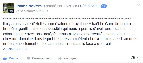 dresseur chevaux calme