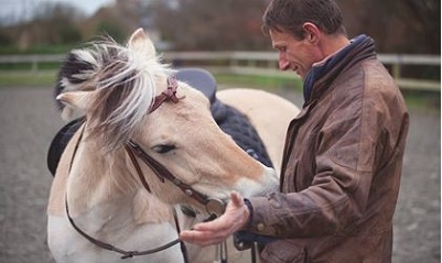 Cheval Vasco; encore poulain
