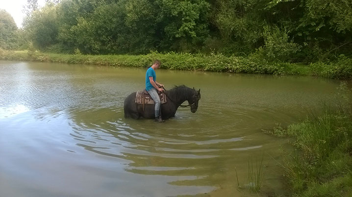 Etang Québriac Lusitanien