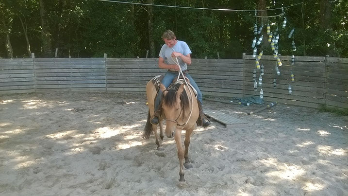 Travail cheval monté. Québriac